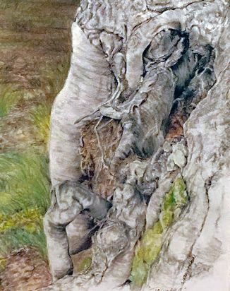 Linda Bissell