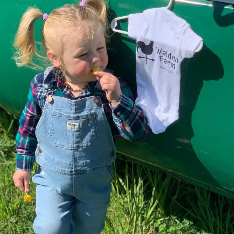 Walden Farm LLC