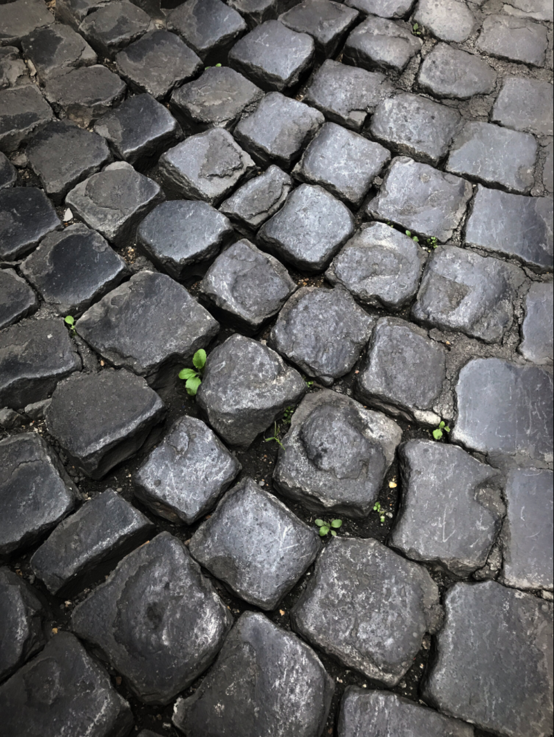 Christine Acebo Photography