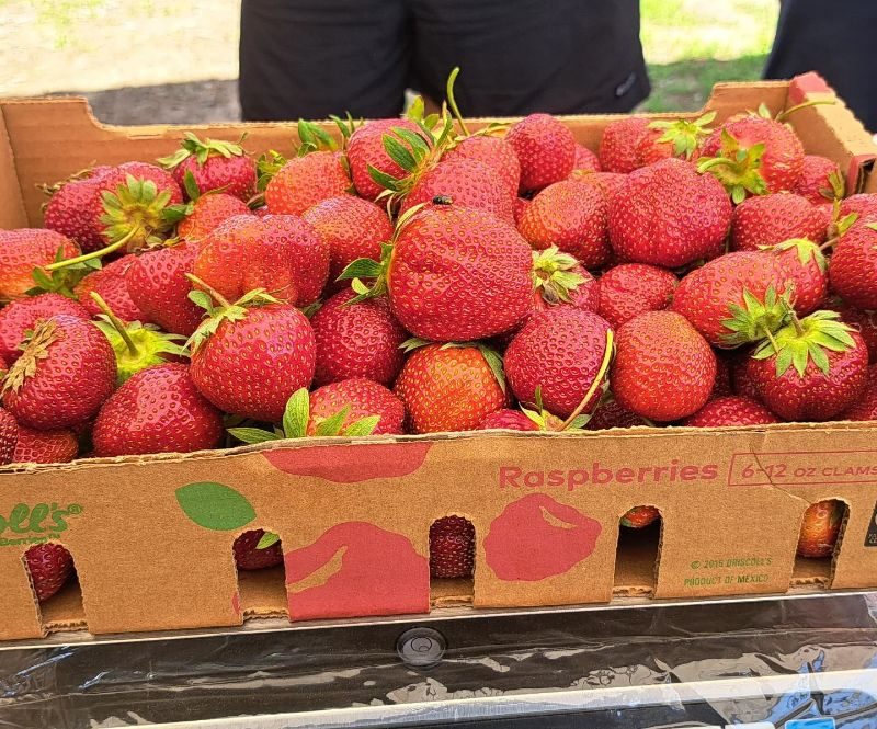 Berryhill Farm LLC