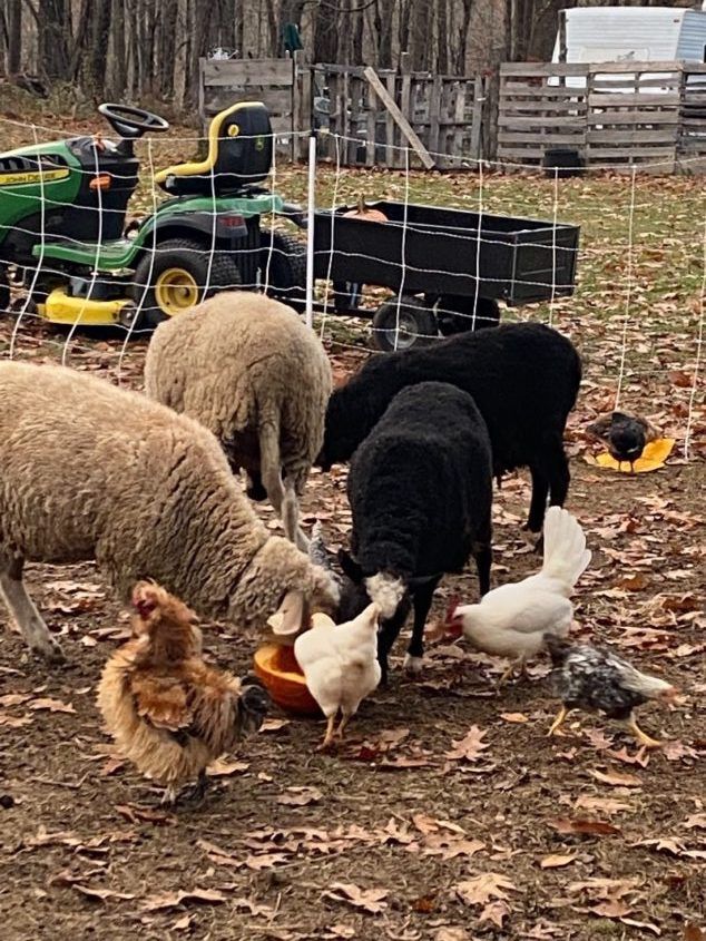 Misfit Farms