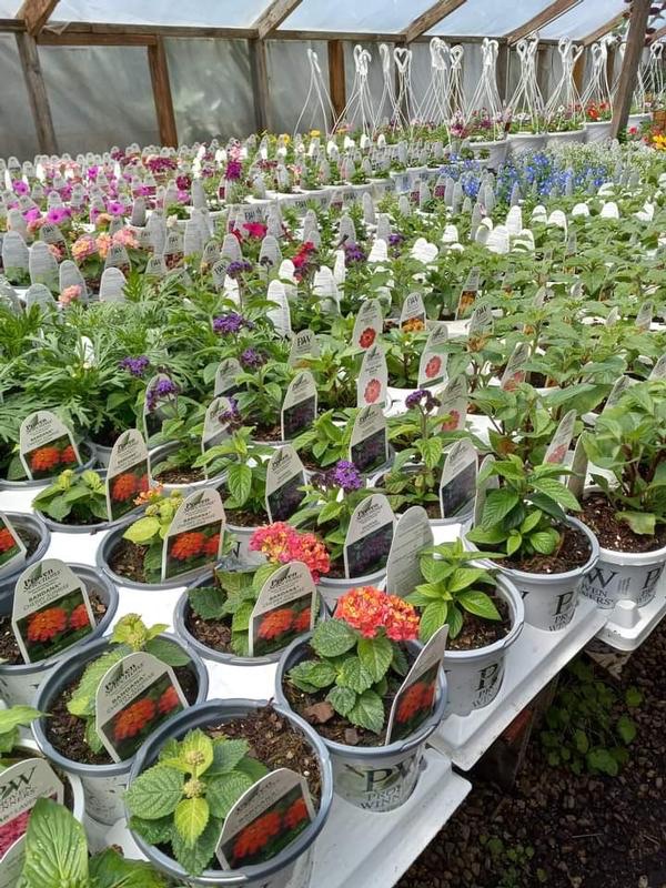Ladd’s Garden Center