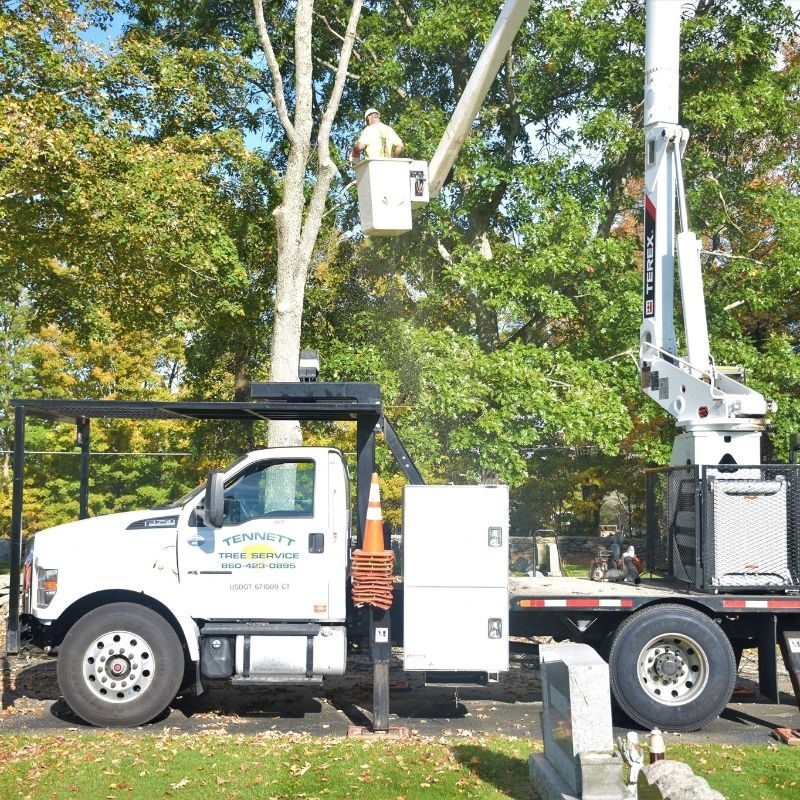 Tennett Tree Service, Inc.