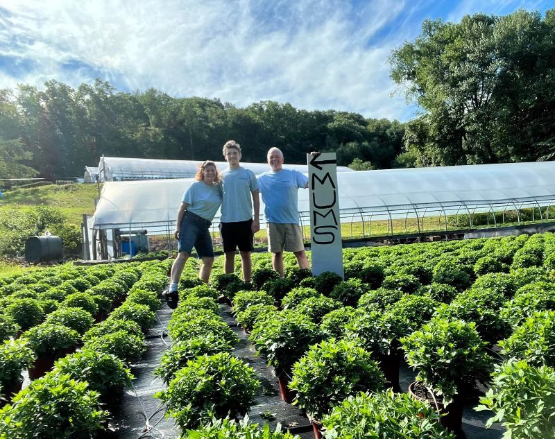 Halfinger Farms