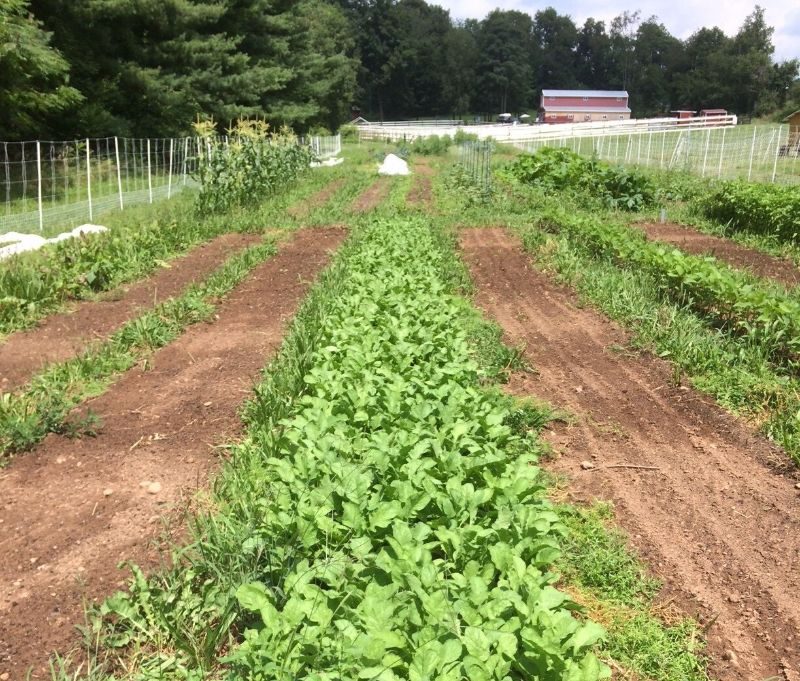 Old River Farm